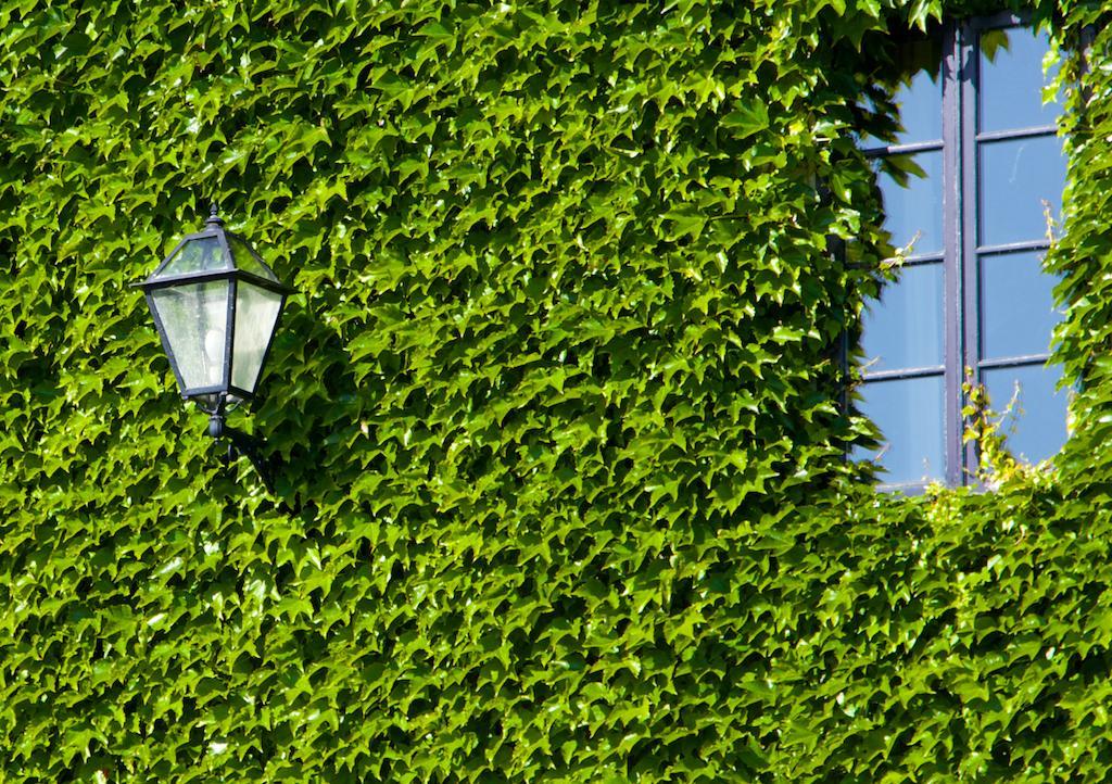Rectoral De Cobres 1729 Hotel San Adrian de Cobres Kültér fotó